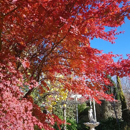 Winston Cottage At Three Sisters Katoomba Exterior foto