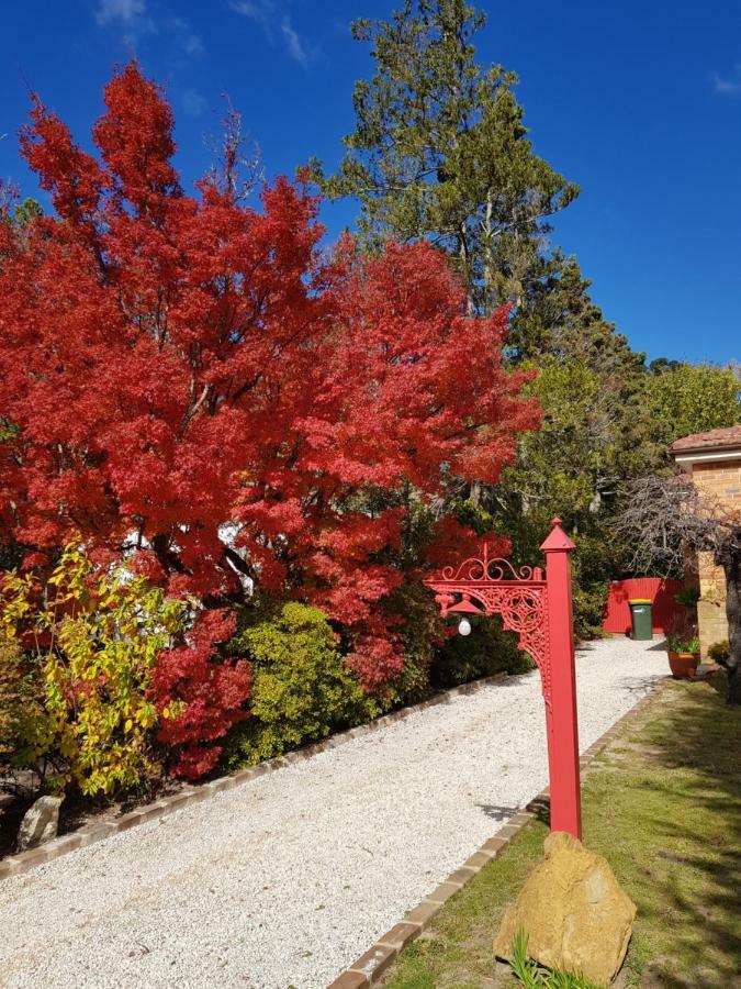 Winston Cottage At Three Sisters Katoomba Exterior foto